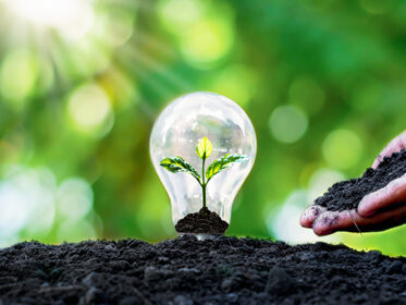 A light globe containing a seedling planted in rich soil